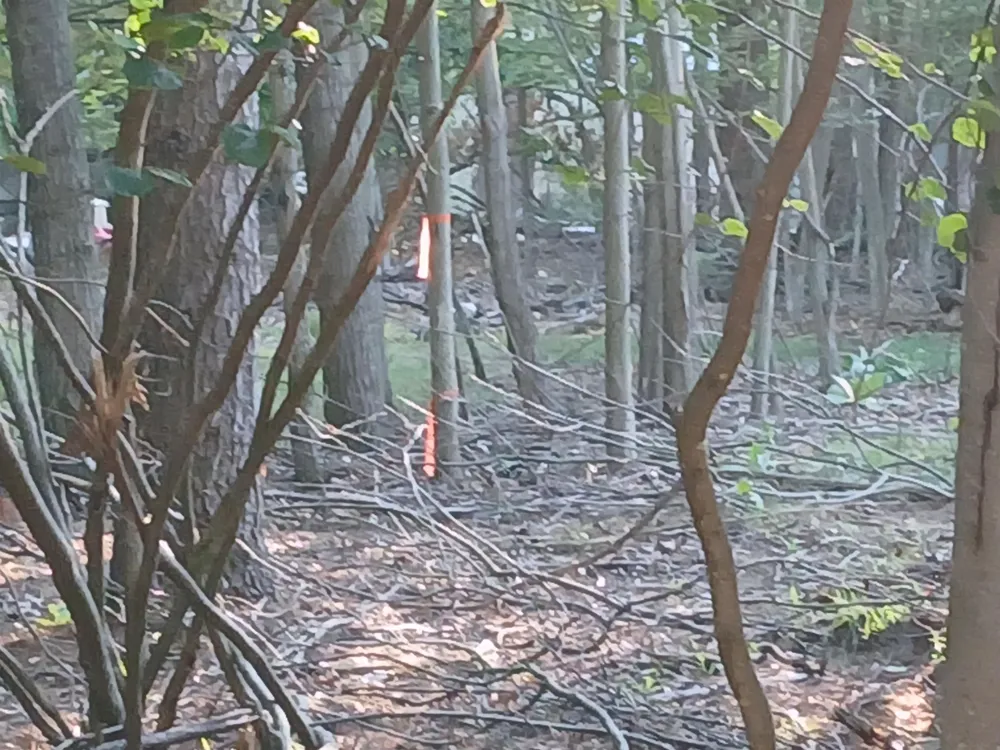 Onondaga Trail Churchill Township, MI 48661
