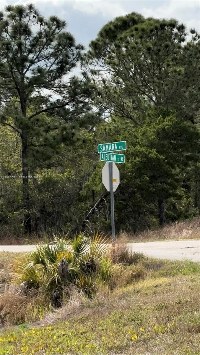1215 Aleutian St NE Lake Placid, FL 33852