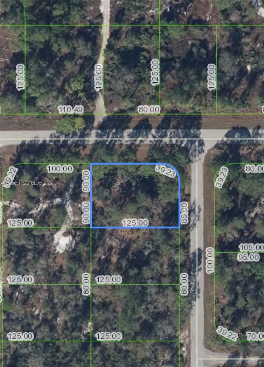 1215 Aleutian St NE Lake Placid, FL 33852
