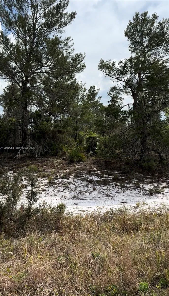 1215 Aleutian St NE Lake Placid, FL 33852