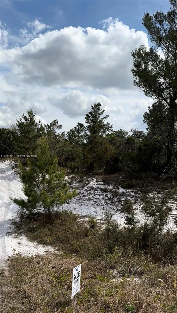 1215 Aleutian St NE Lake Placid, FL 33852