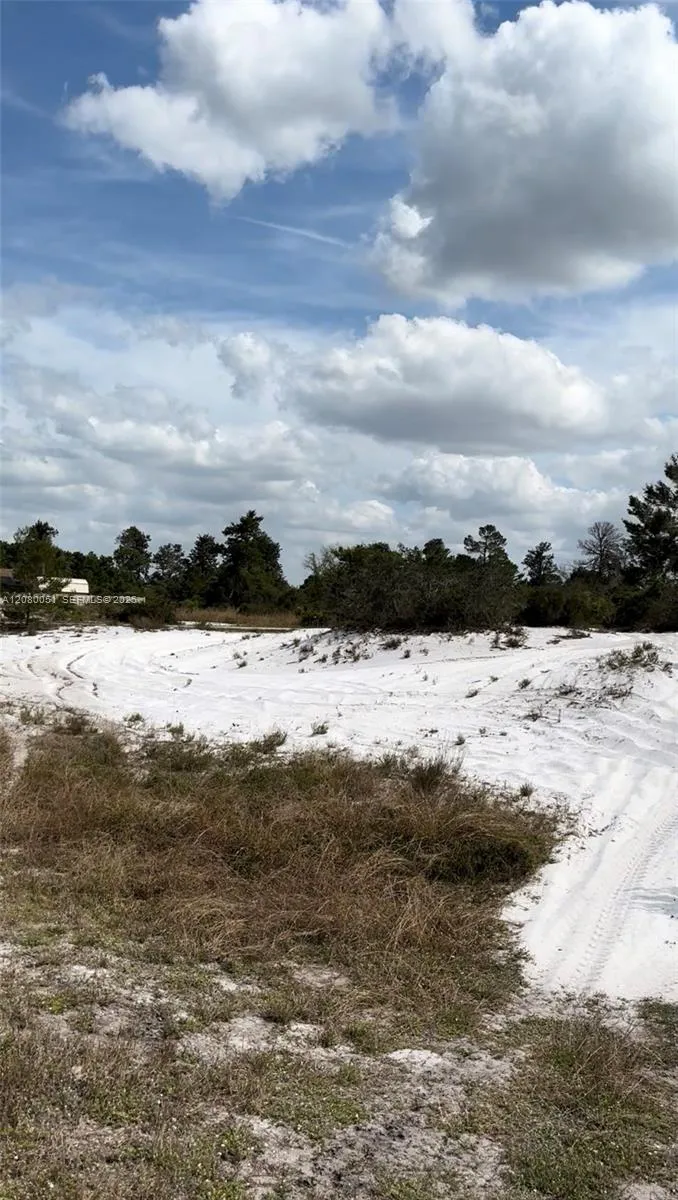 1215 Aleutian St NE Lake Placid, FL 33852