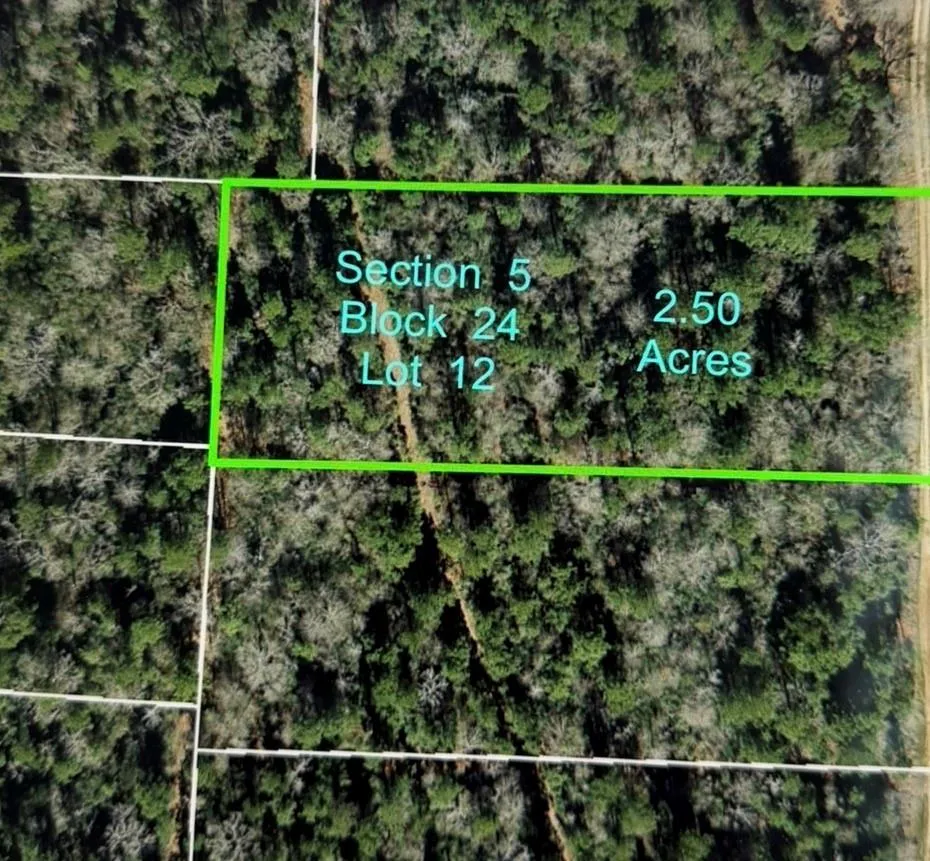 5 Rim Rock Road Huntsville, TX 77340