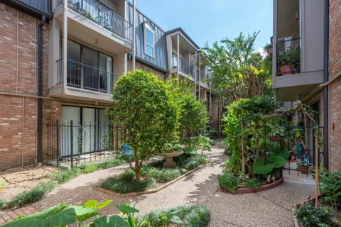 2400 Braeswood Boulevard #220