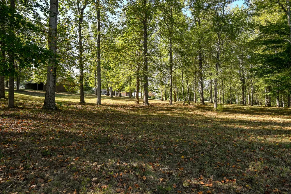 8024 Highway 58 Harrison, TN 37341