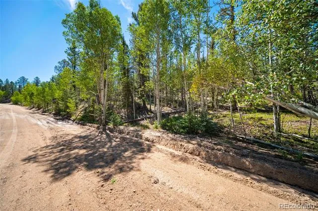 1049 Teton Trail Como, CO 80456