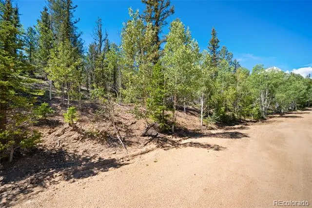 1049 Teton Trail Como, CO 80456