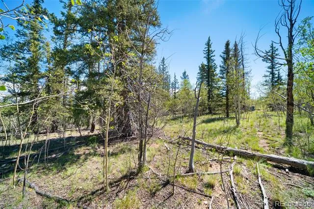1049 Teton Trail Como, CO 80456