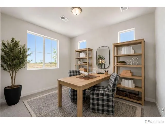 7331 Swan River Street Frederick, CO 80530