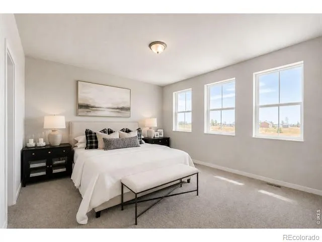 7331 Swan River Street Frederick, CO 80530