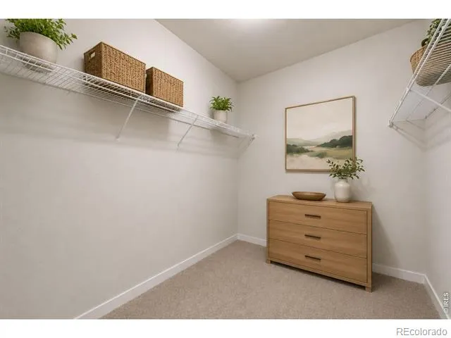 7331 Swan River Street Frederick, CO 80530