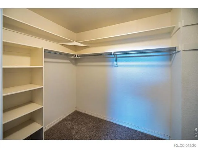 4500 Seneca Street Fort Collins, CO 80526