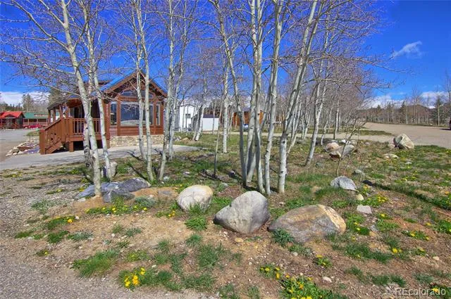 65 Sunshine Loop Fairplay, CO 80440