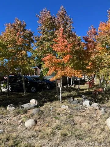 65 Sunshine Loop Fairplay, CO 80440