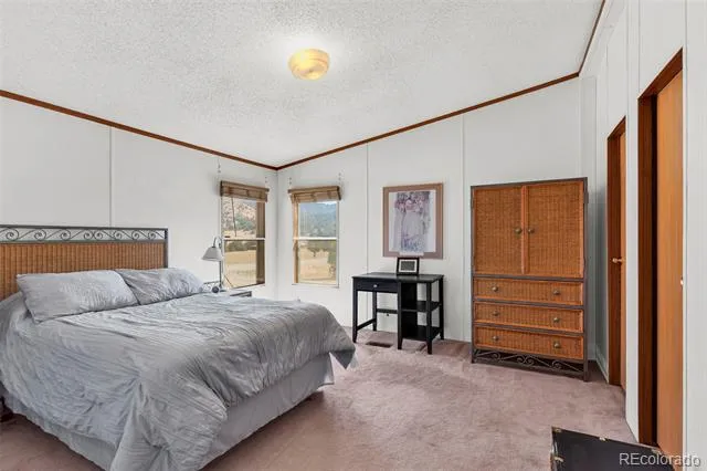 758 Shannon Road Cotopaxi, CO 81223