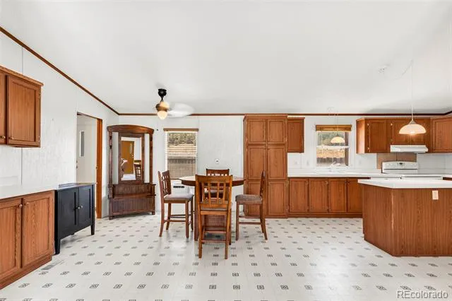 758 Shannon Road Cotopaxi, CO 81223