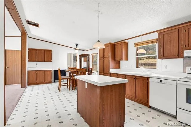 758 Shannon Road Cotopaxi, CO 81223