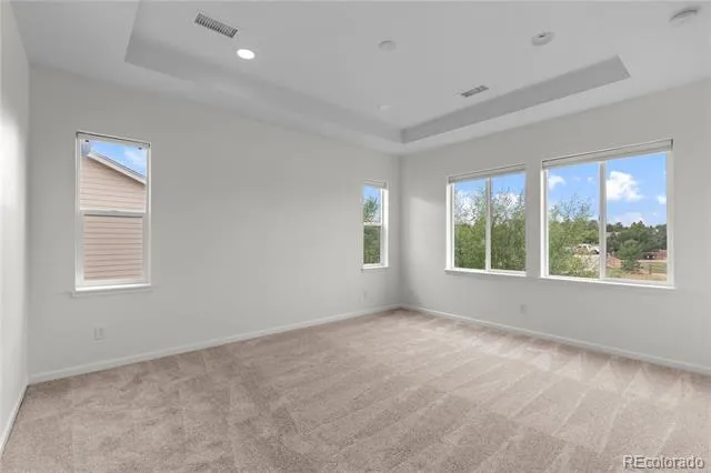 3794 Ghost Dance Drive Castle Rock, CO 80108