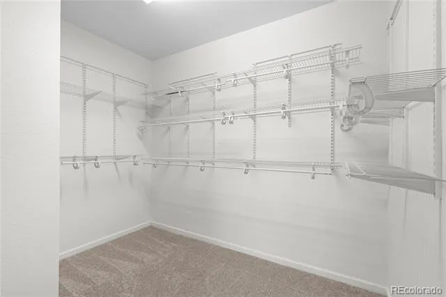 3794 Ghost Dance Drive Castle Rock, CO 80108