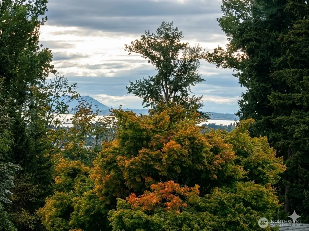 2604 Vining Place Bellingham, WA 98226