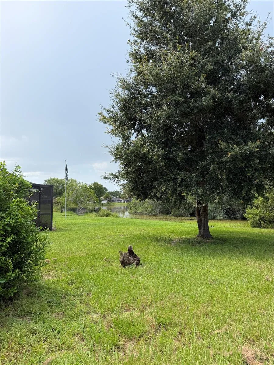 16503 FOOTHILL DRIVE Tampa, FL 33624