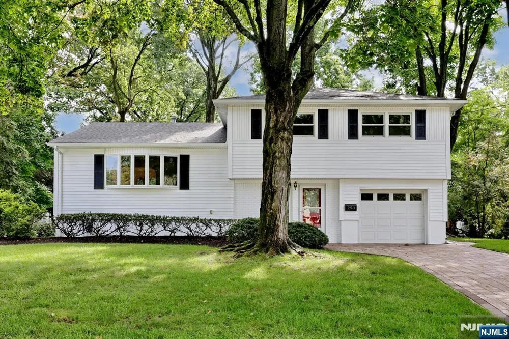 253 Jeffer Street Ridgewood, NJ 07450