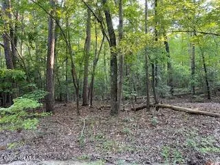 91a Palomino Road Carthage, NC 28327