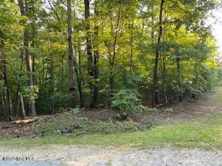 91a Palomino Road Carthage, NC 28327