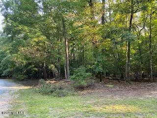 91a Palomino Road Carthage, NC 28327