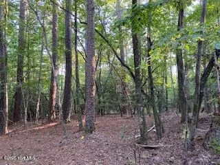 91a Palomino Road