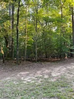 91a Palomino Road Carthage, NC 28327