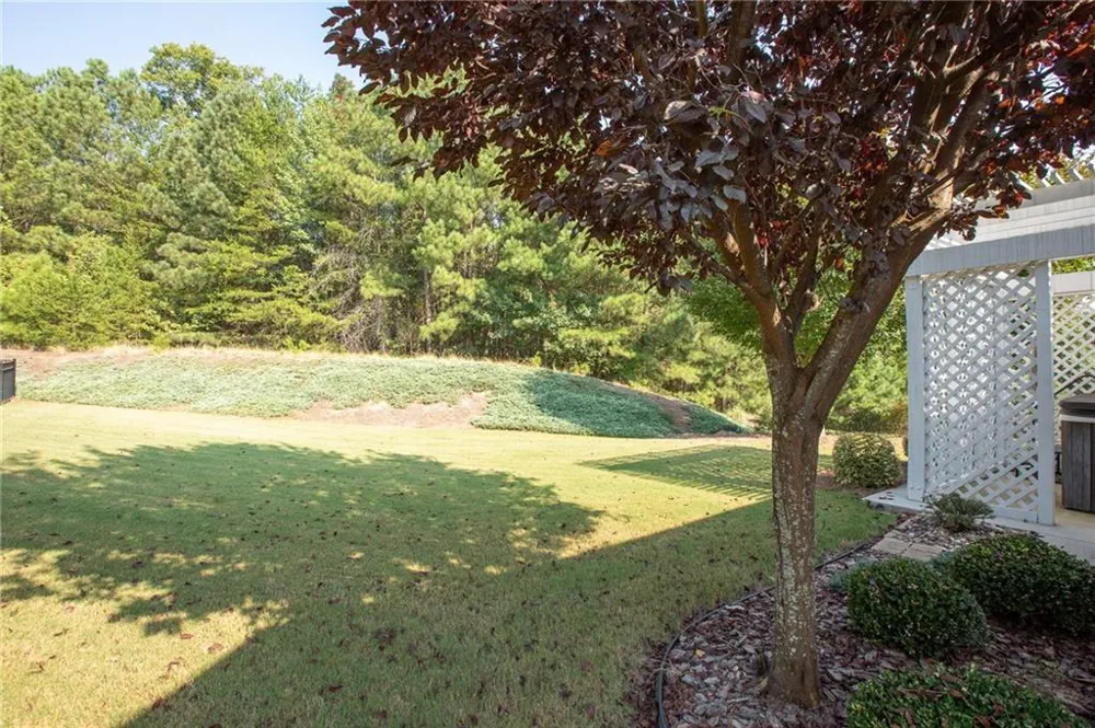3609 Blue Cypress Cove SW Gainesville, GA 30504