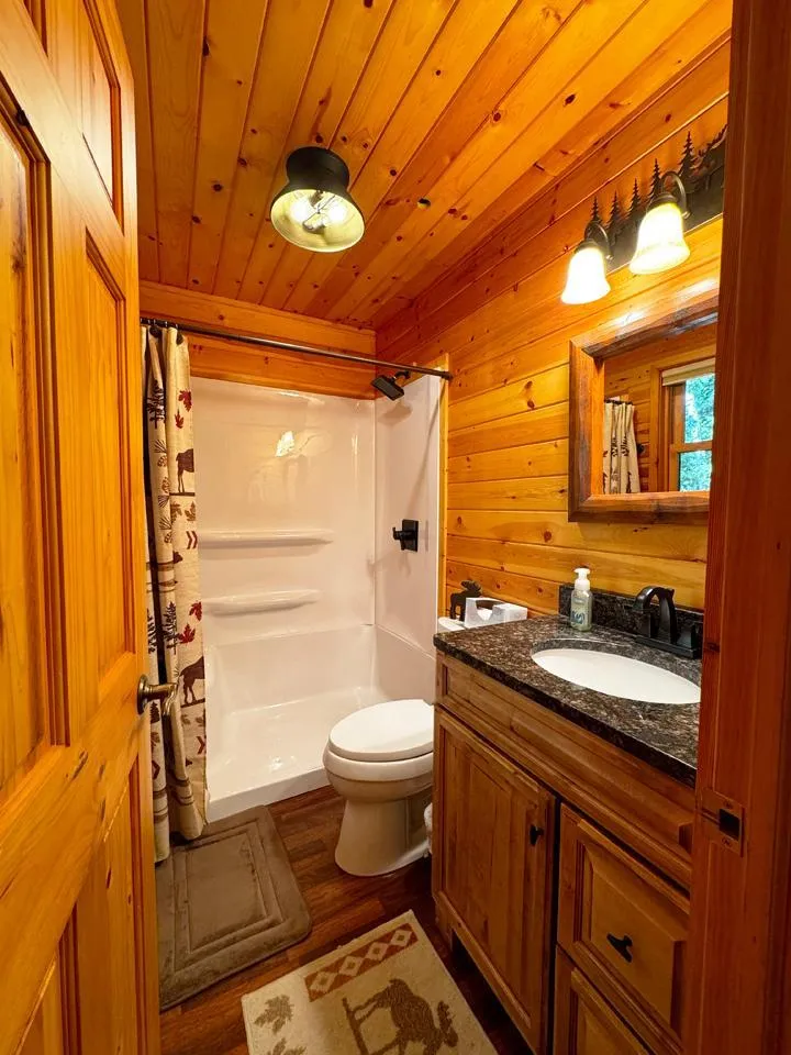 5005 Lake Vermilion Tower, MN 55790