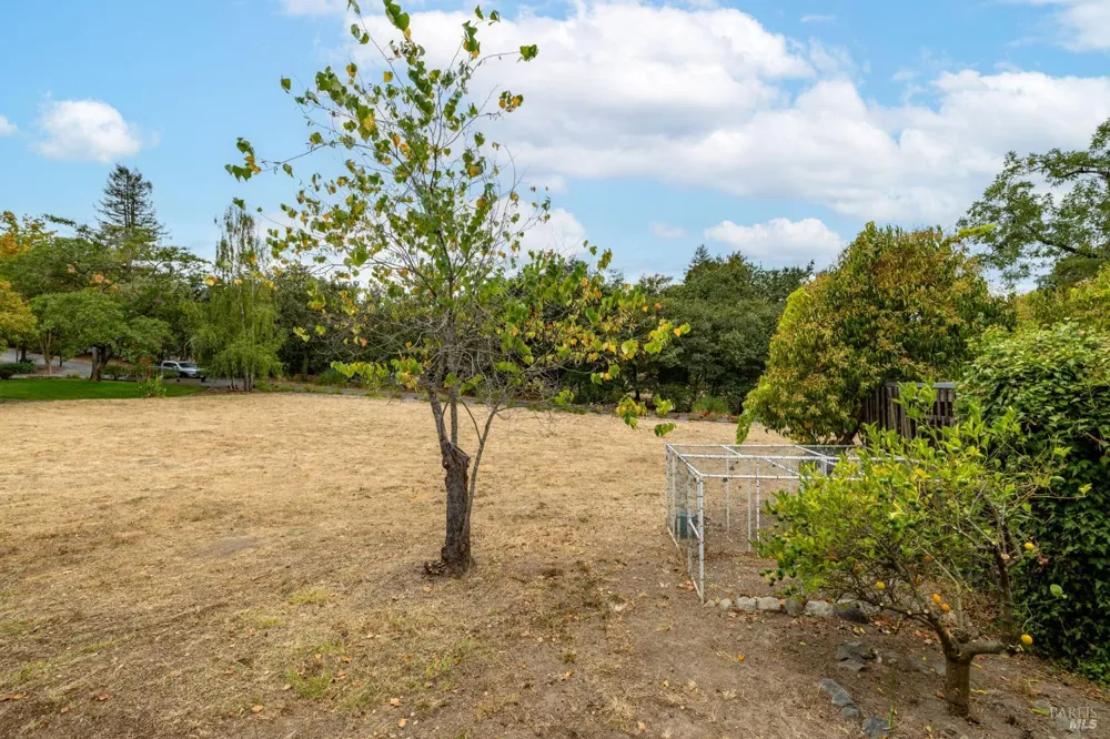 468 W School Street Cotati, CA 94931