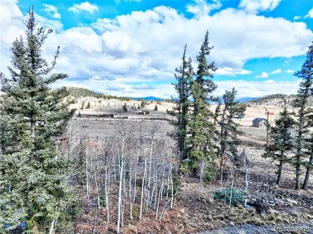 45 Swiggler Jefferson, CO 80456