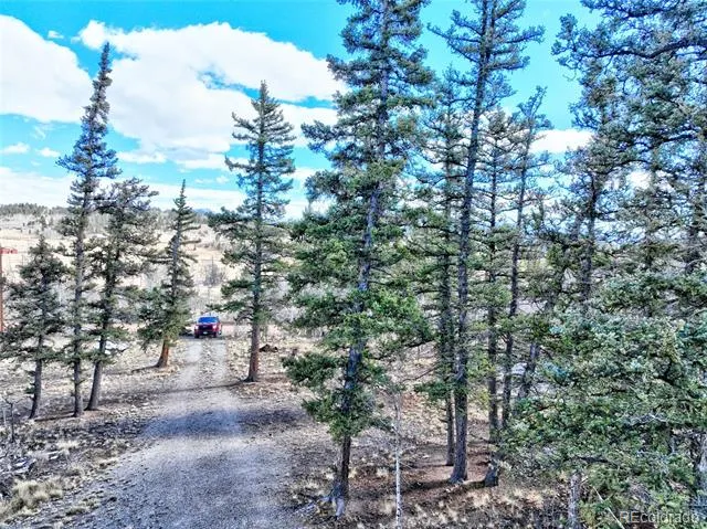 45 Swiggler Jefferson, CO 80456