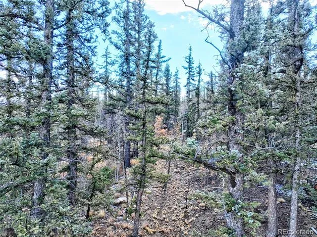 45 Swiggler Jefferson, CO 80456
