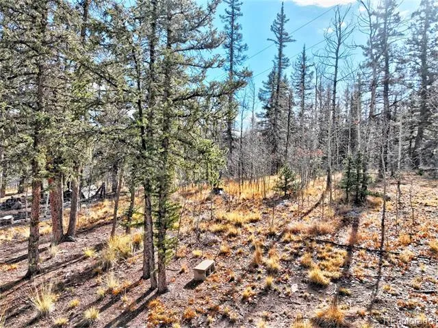 45 Swiggler Jefferson, CO 80456
