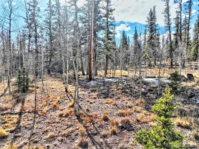 45 Swiggler Jefferson, CO 80456