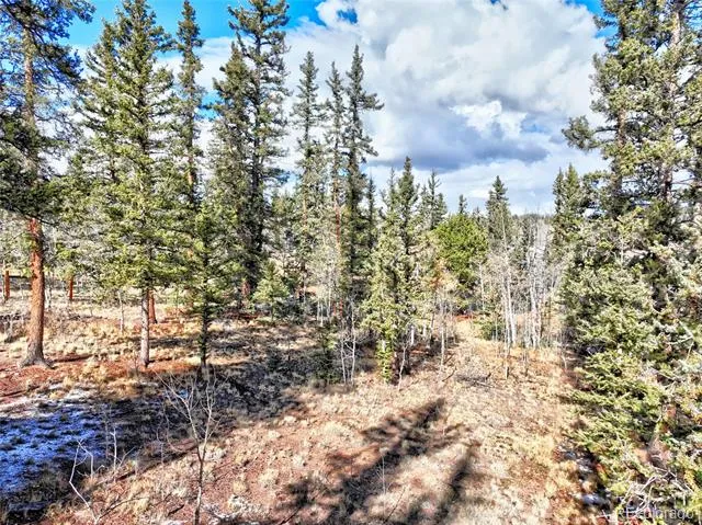 45 Swiggler Jefferson, CO 80456