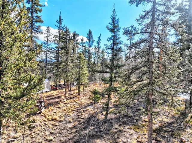 45 Swiggler Jefferson, CO 80456