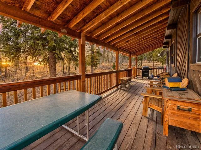 45 Swiggler Jefferson, CO 80456