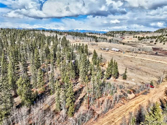 45 Swiggler Jefferson, CO 80456