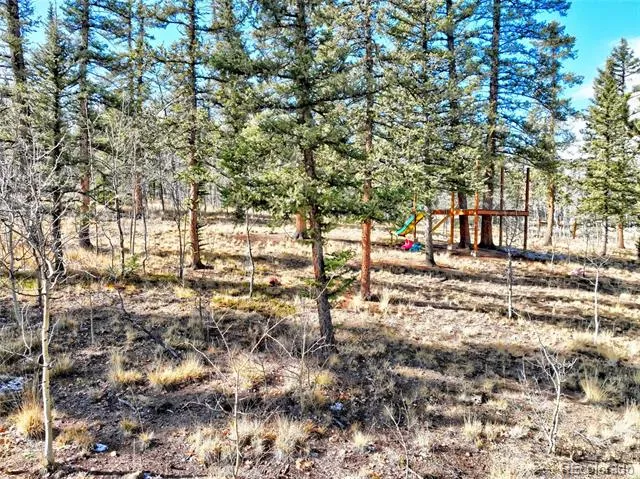 45 Swiggler Jefferson, CO 80456