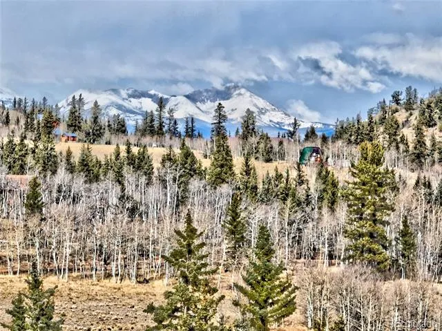 45 Swiggler Jefferson, CO 80456