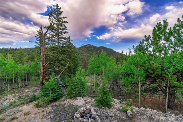 274 Folsom Drive Como, CO 80432