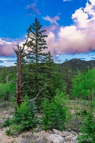 274 Folsom Drive Como, CO 80432