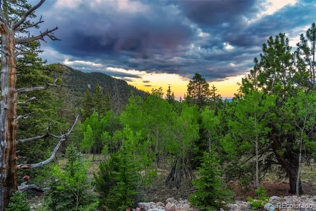 274 Folsom Drive Como, CO 80432