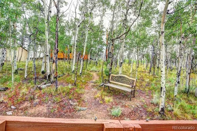 567 Haida Road Como, CO 80432