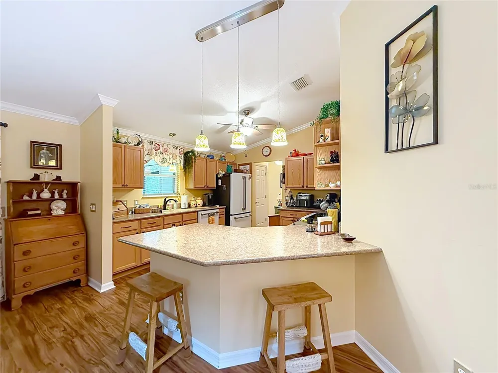 1016 MATTHEW AVENUE Lady Lake, FL 32159
